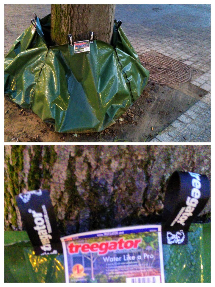 img_20201123_074839-collage