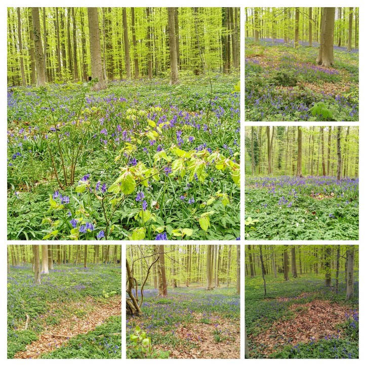 img_20220423_154233-collage