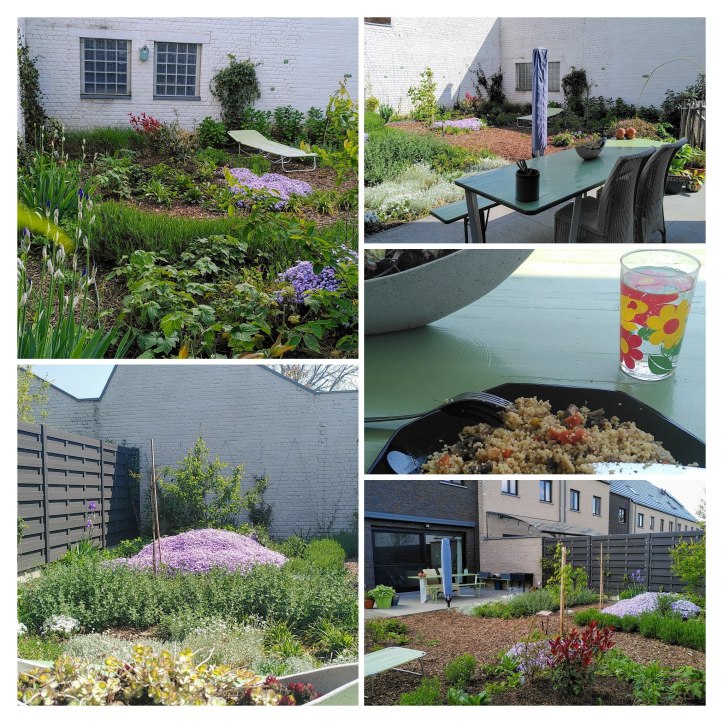 original_ff740ad3-5797-4356-92b3-96fbf72c3cfc_img_20220428_115632-collage